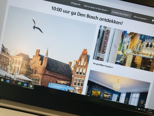Online marketeer visitdenbosch.nl (citymarketing)